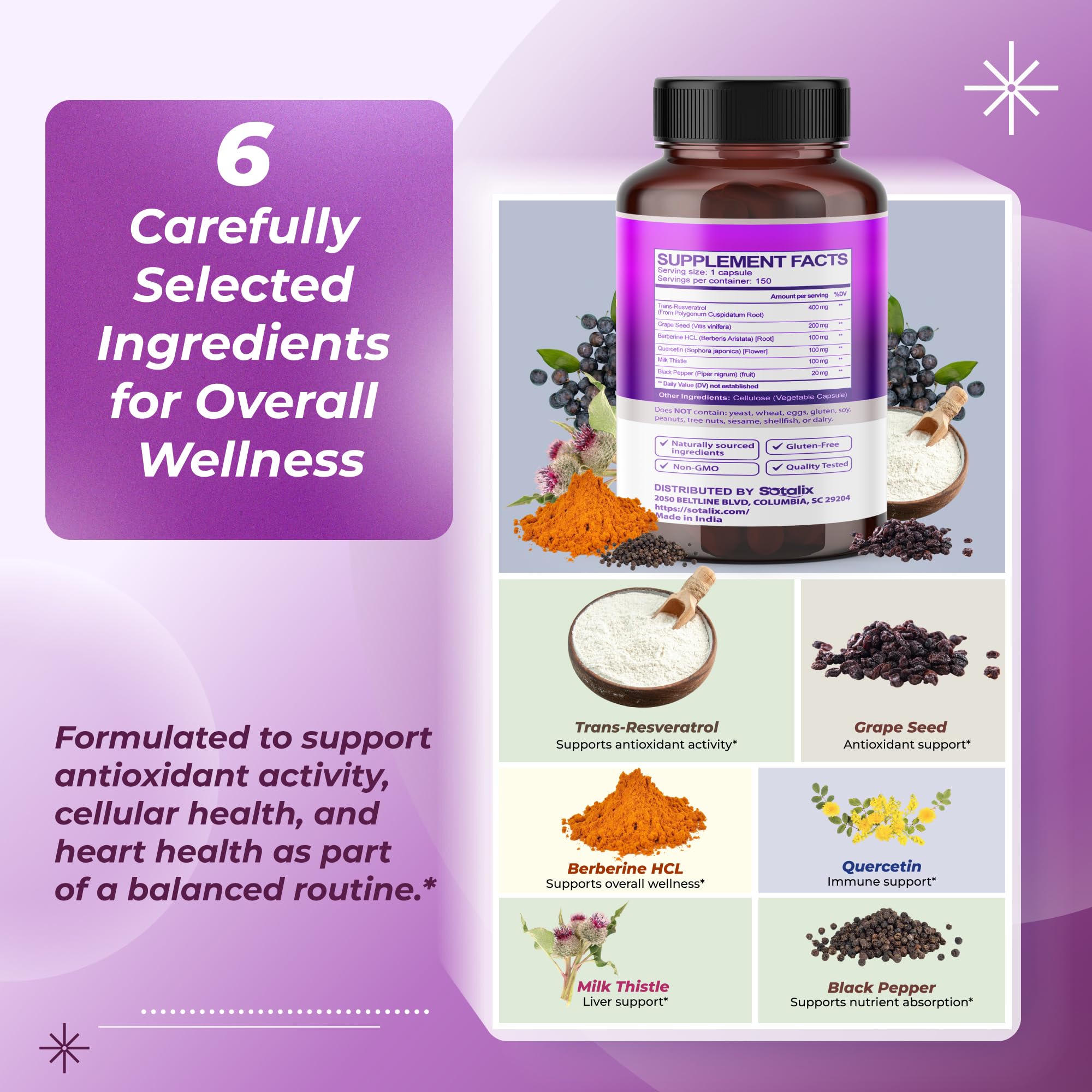 Sotalix berberine HCL tablet for metabolic wellness and balanced energy.
