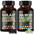 SoundHealth Wild Organic Irish Sea Moss & Shilajit – 2 Bottles of 60 Capsules, Ashwagandha, Ginseng, Vitamins C & D3