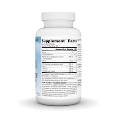 Close-up of Source Naturals L-Theanine tablets showing compact daily support.