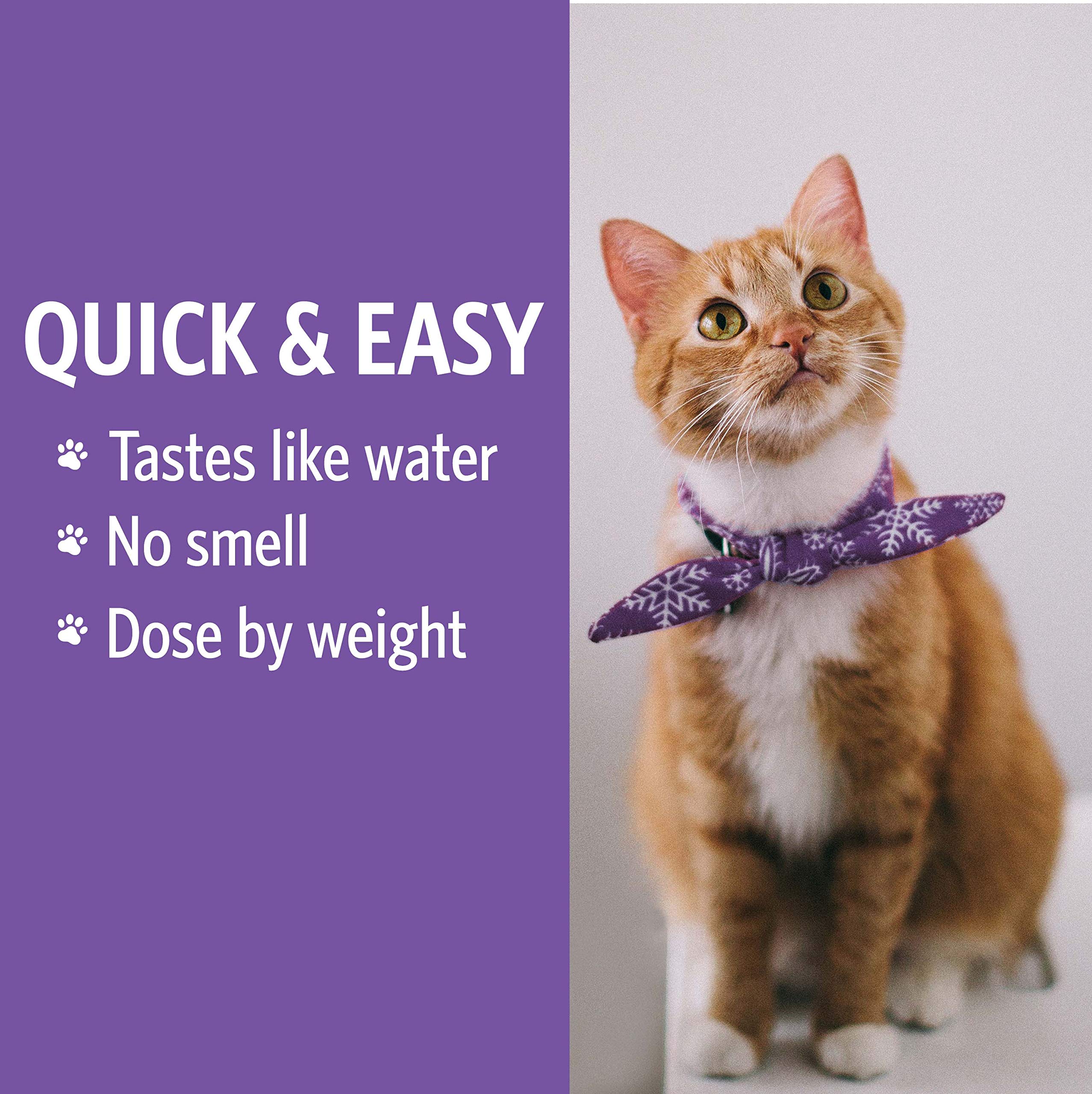 10 ppm label on Sovereign Silver Pets bottle emphasizes safe, vet-trusted formula.