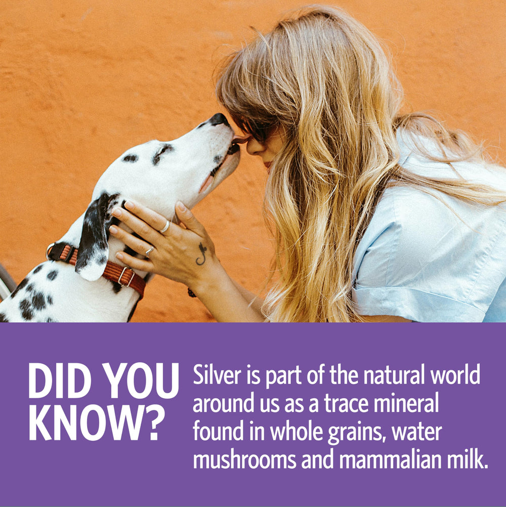 Dog and cat friendly formula shown with clear droplet use on fur.
