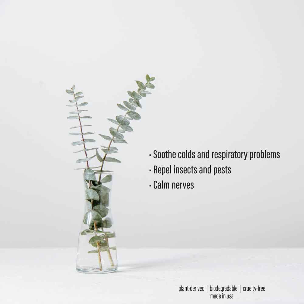 Spa Sense Eucalyptus Shower Mist enhances self-care moments with a clean scent