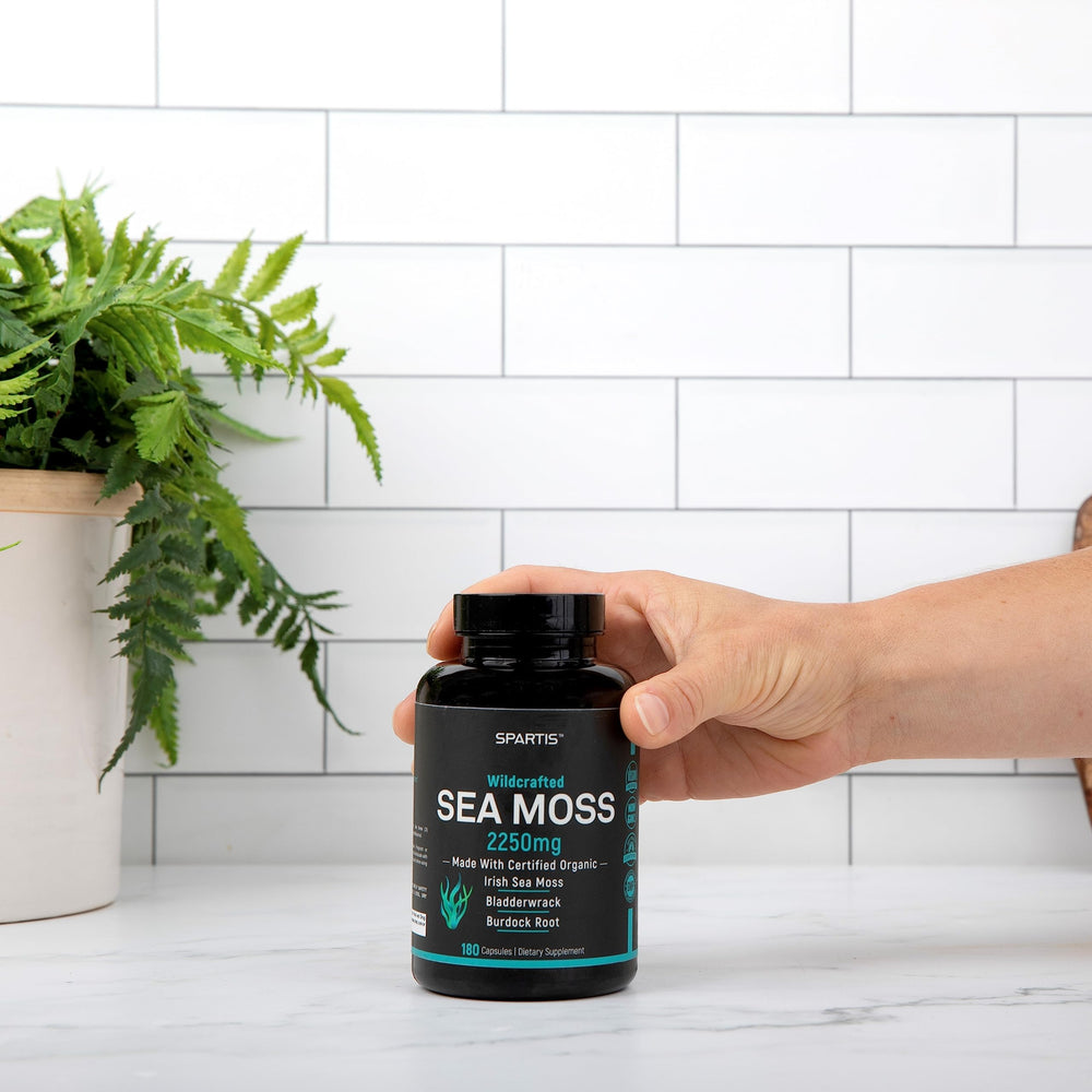 Raw seamoss texture beside SPARTIS capsules for natural nutrition