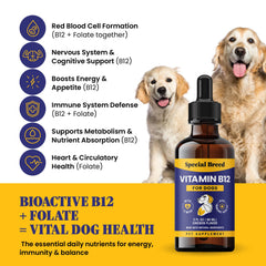 Special Breed Liquid B12 bottle pictured for easy administration