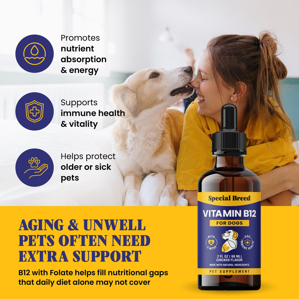 Special Breed Liquid B12 chicken flavor appealing to dogs