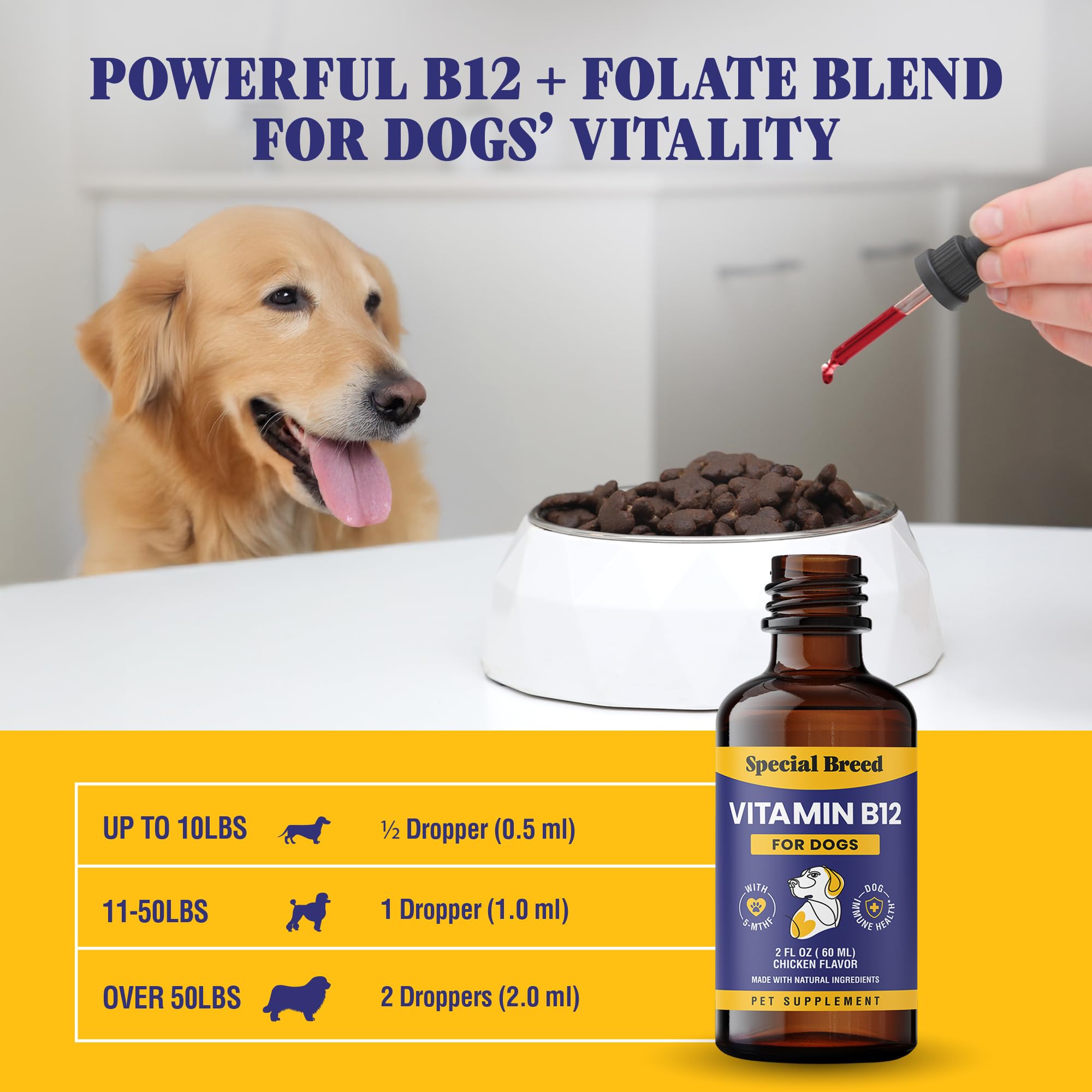 Special Breed Liquid B12 supports nerve and brain health in dogs