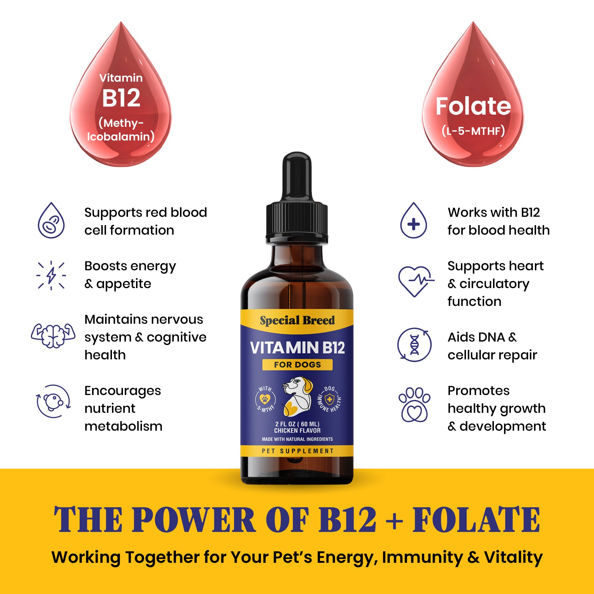 Special Breed Liquid B12 for picky eaters to encourage acceptance