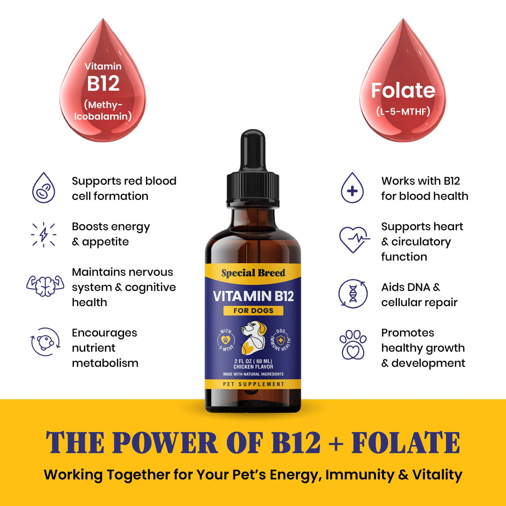 Special Breed Liquid B12 for picky eaters to encourage acceptance