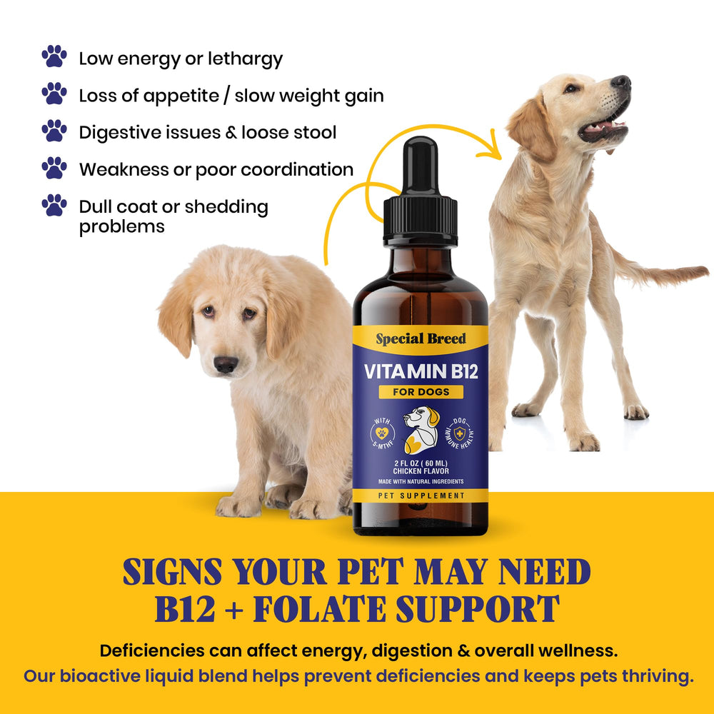 Special Breed Liquid B12 serving drops ready to mix with meals