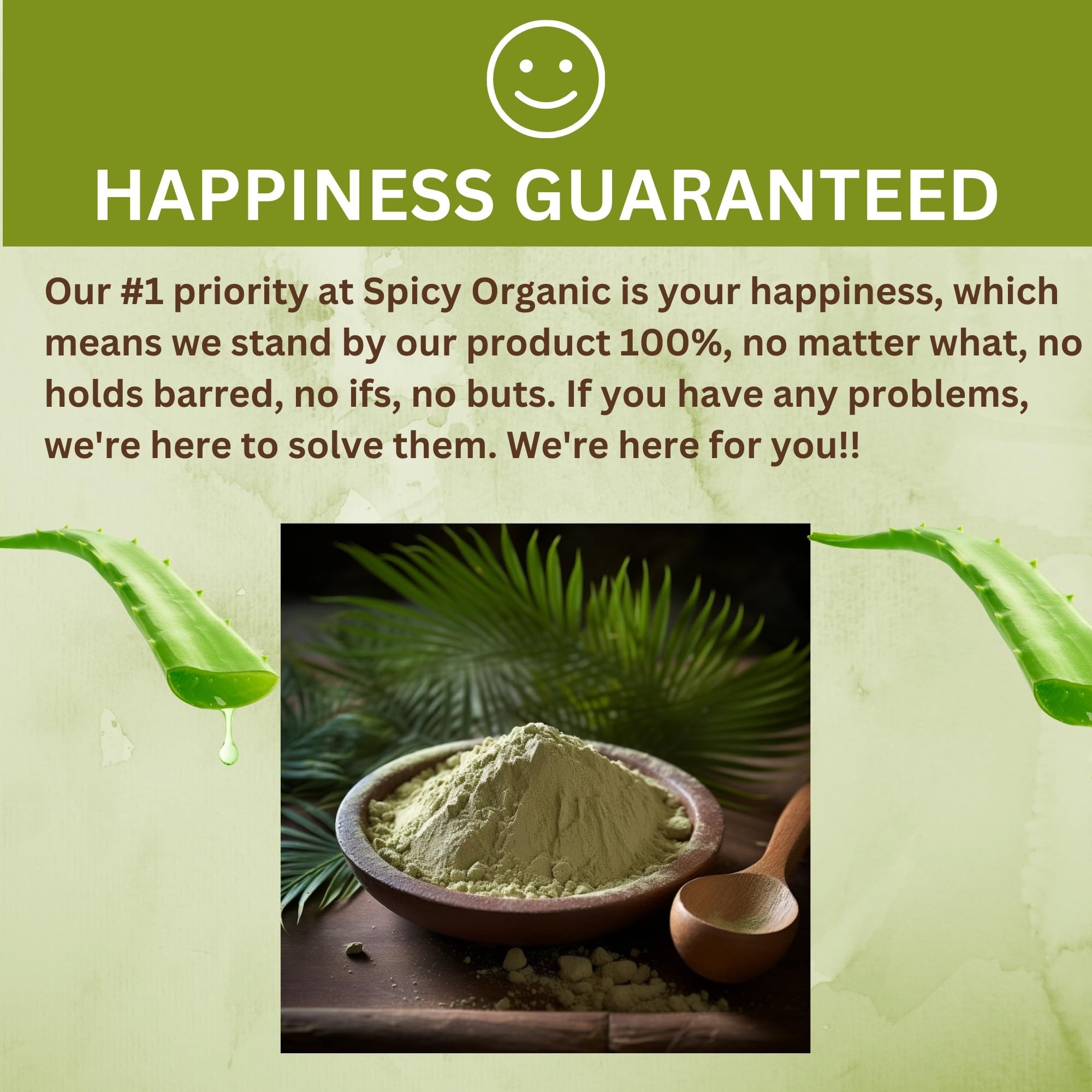SPICY ORGANIC Aloe Vera Powder ready for DIY skincare routines at home.