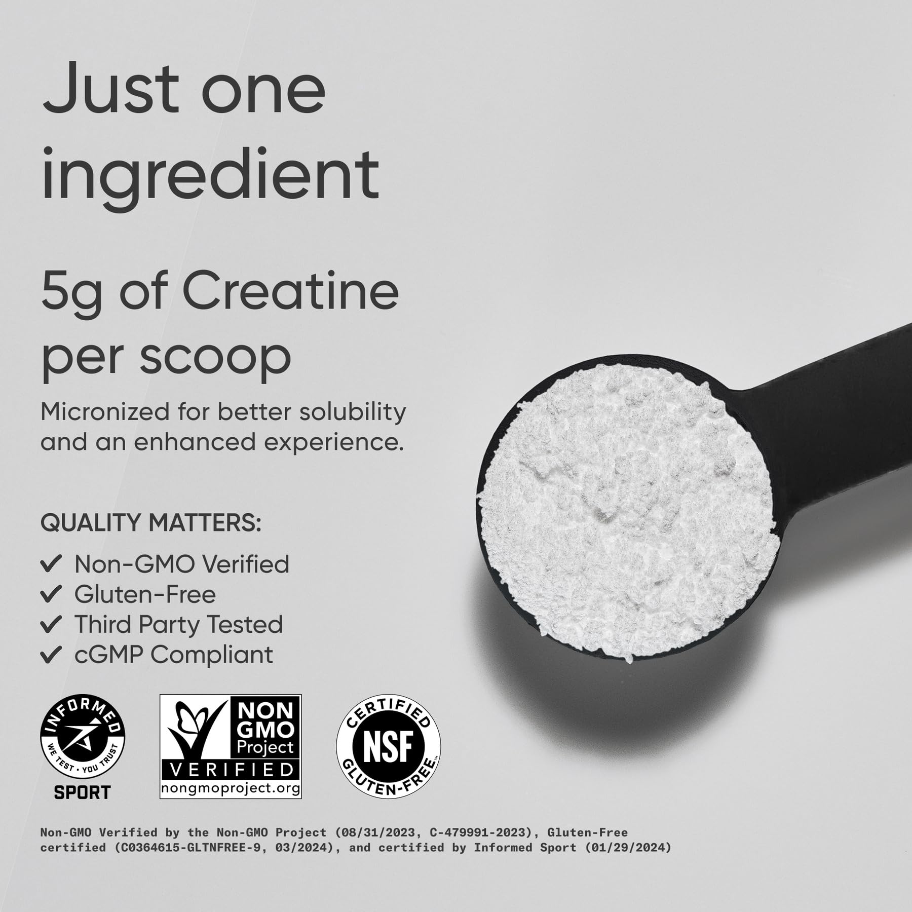 Sports Research Creatine Monohydrate powder scoop showing precise 5 g serving.