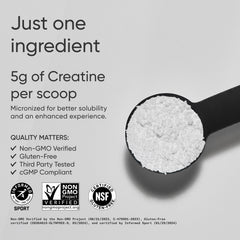 Sports Research Creatine Monohydrate powder scoop showing precise 5 g serving.