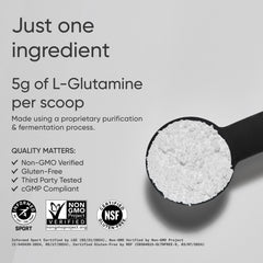 Closeup of Sports Research L-Glutamine powder texture for easy mixing