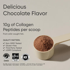 Scoop of Sports Research Marine Collagen to measure a serving.