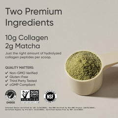 Sports Research Organic Matcha tea bowl—energizing ceremonial-grade powder.
