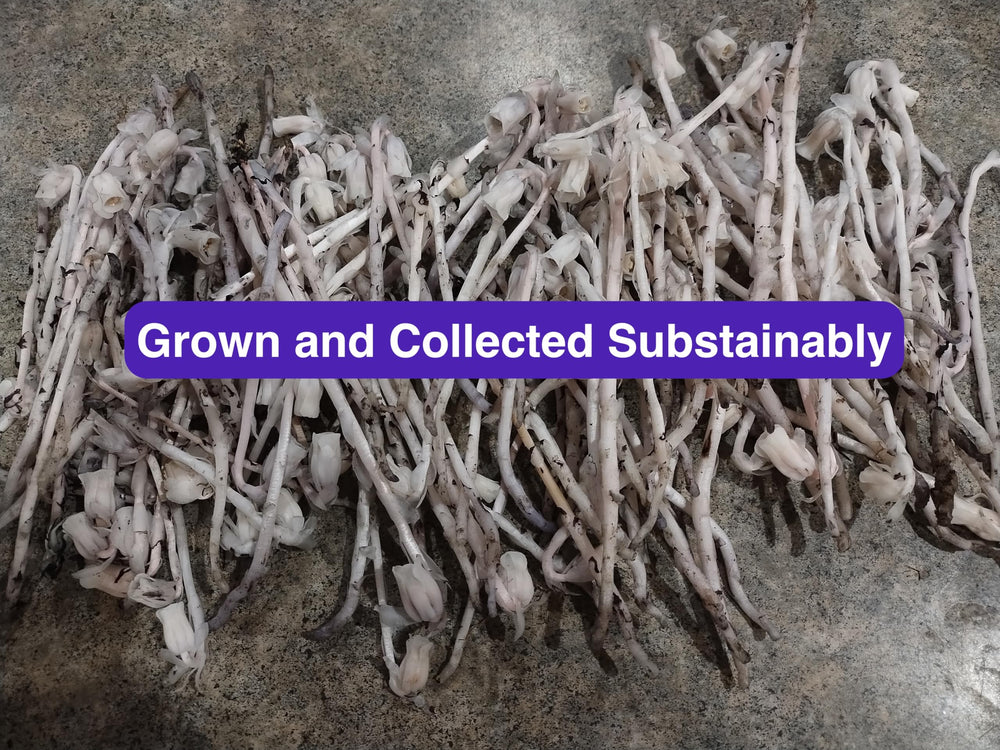 Stajcar Stoneworks gluten-free organic ingredients shot promotes clean label appeal.