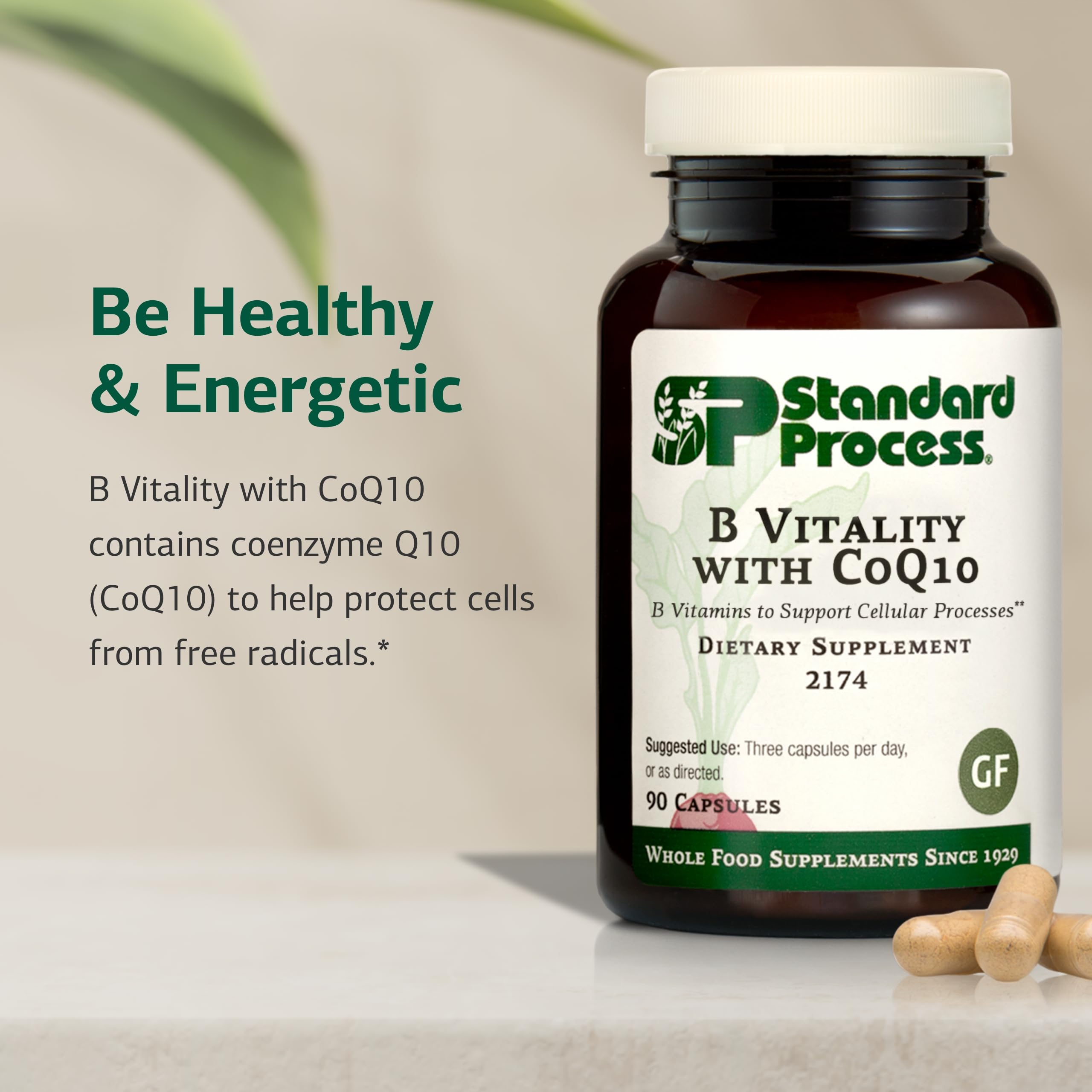 Standard Process B Vitality capsules on a clean countertop for daily wellness use