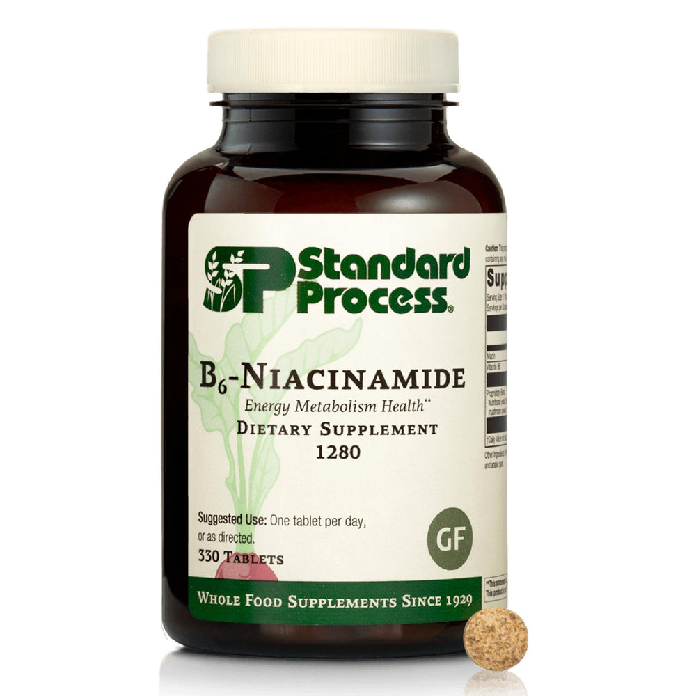 Standard Process B6-Niacinamide energy metabolism bottle ready for daily supplementation to support energy pathways.