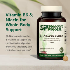Standard Process B6-Niacinamide energy metabolism label showing nutrient details and gluten-free benefits.