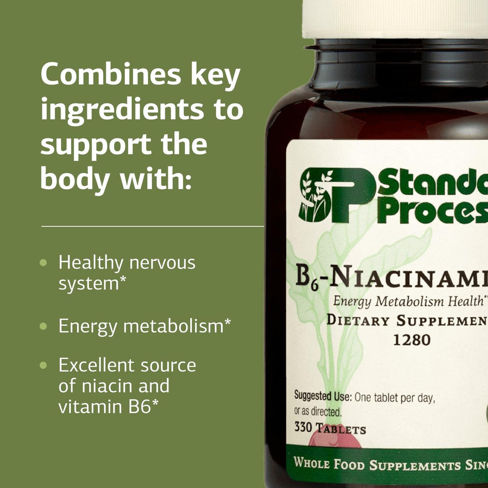 Standard Process B6-Niacinamide energy metabolism packaging box demonstrates non-dairy and non-soy formulation.