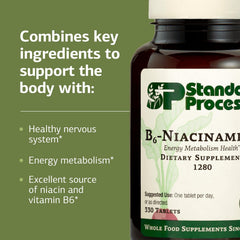 Standard Process B6-Niacinamide energy metabolism packaging box demonstrates non-dairy and non-soy formulation.
