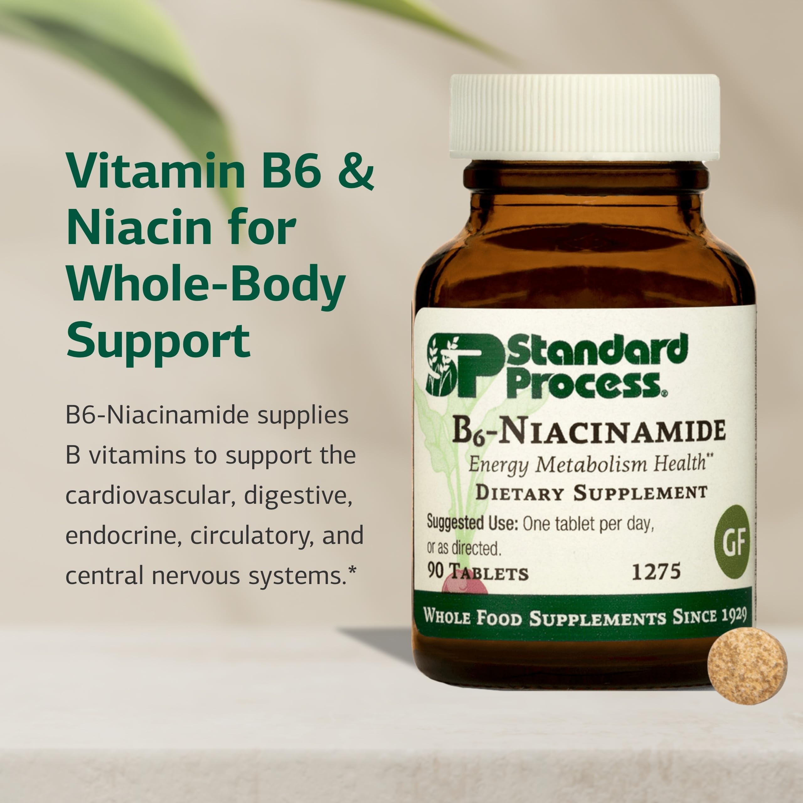 Standard Process B6-Niacinamide label shows gluten-free, non-dairy and non-soy attributes.