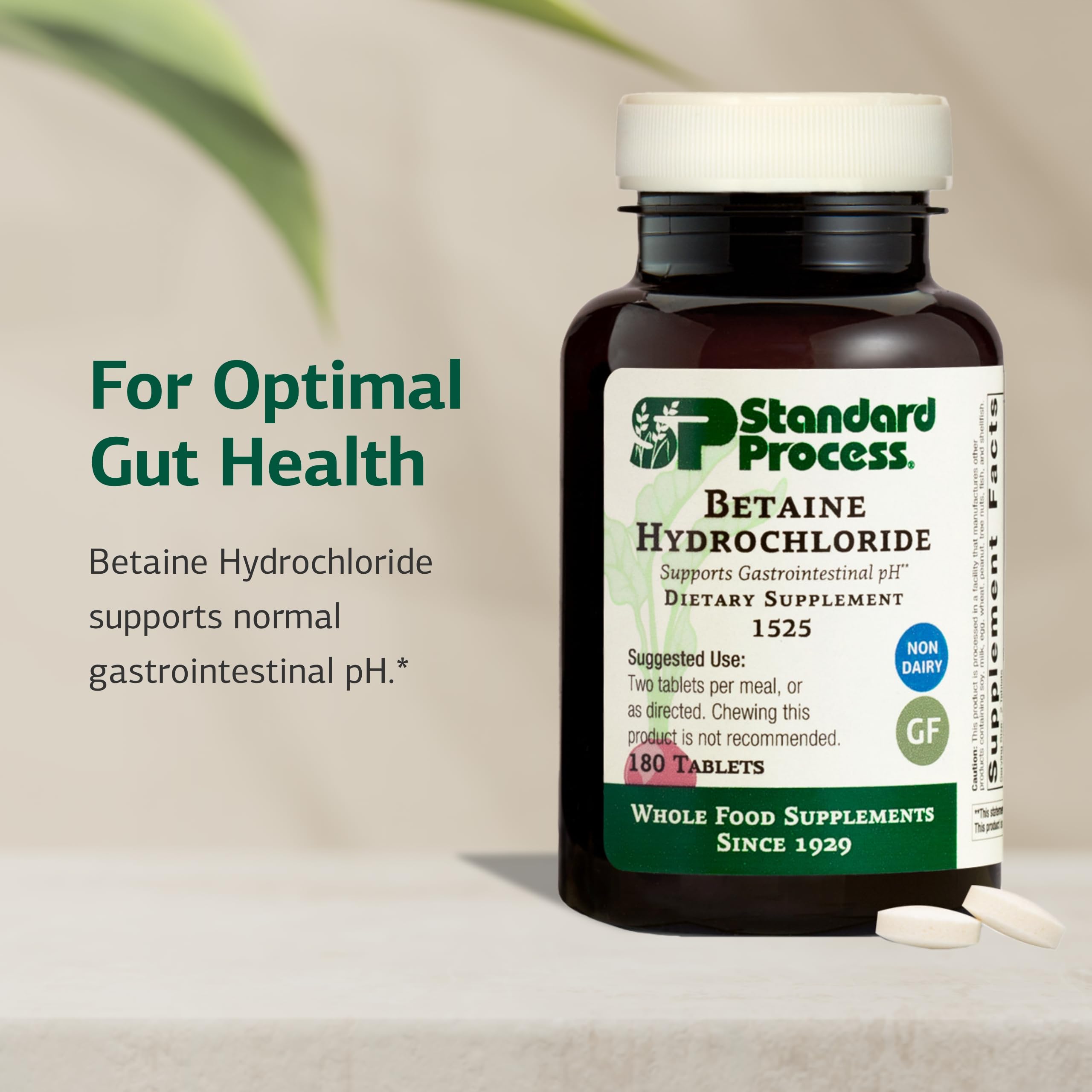 Betaine HCl capsules by Standard Process ready for daily use to support digestion