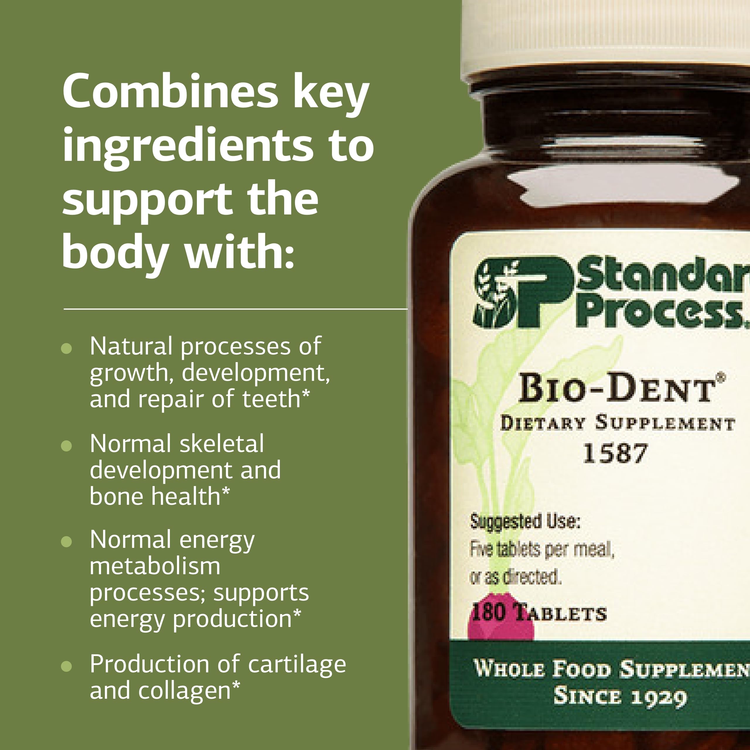 Bio-Dent cartilage focus signals support for joints and connective tissue.