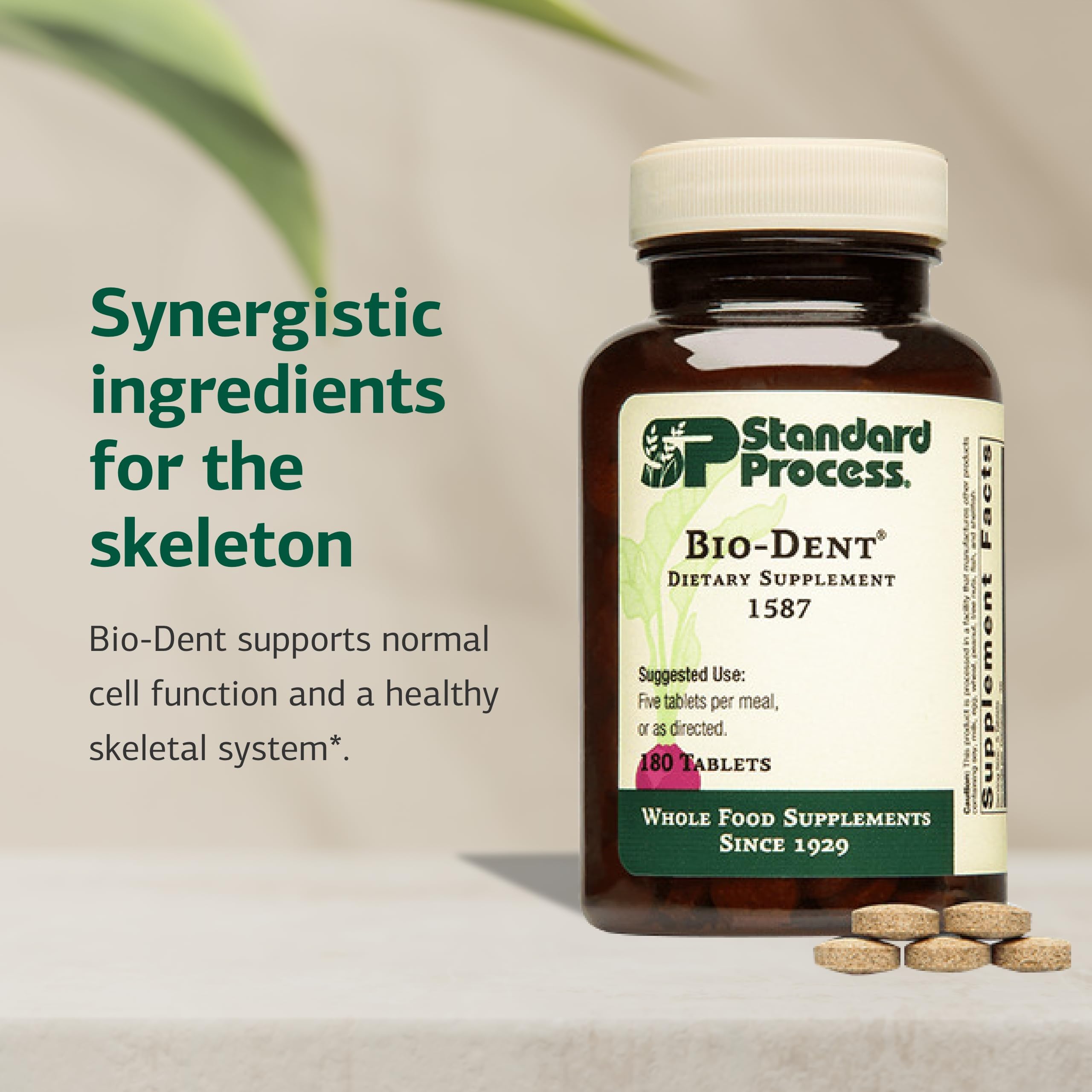 Standard Process Bio-Dent label emphasizing whole-food, nutrition benefits.