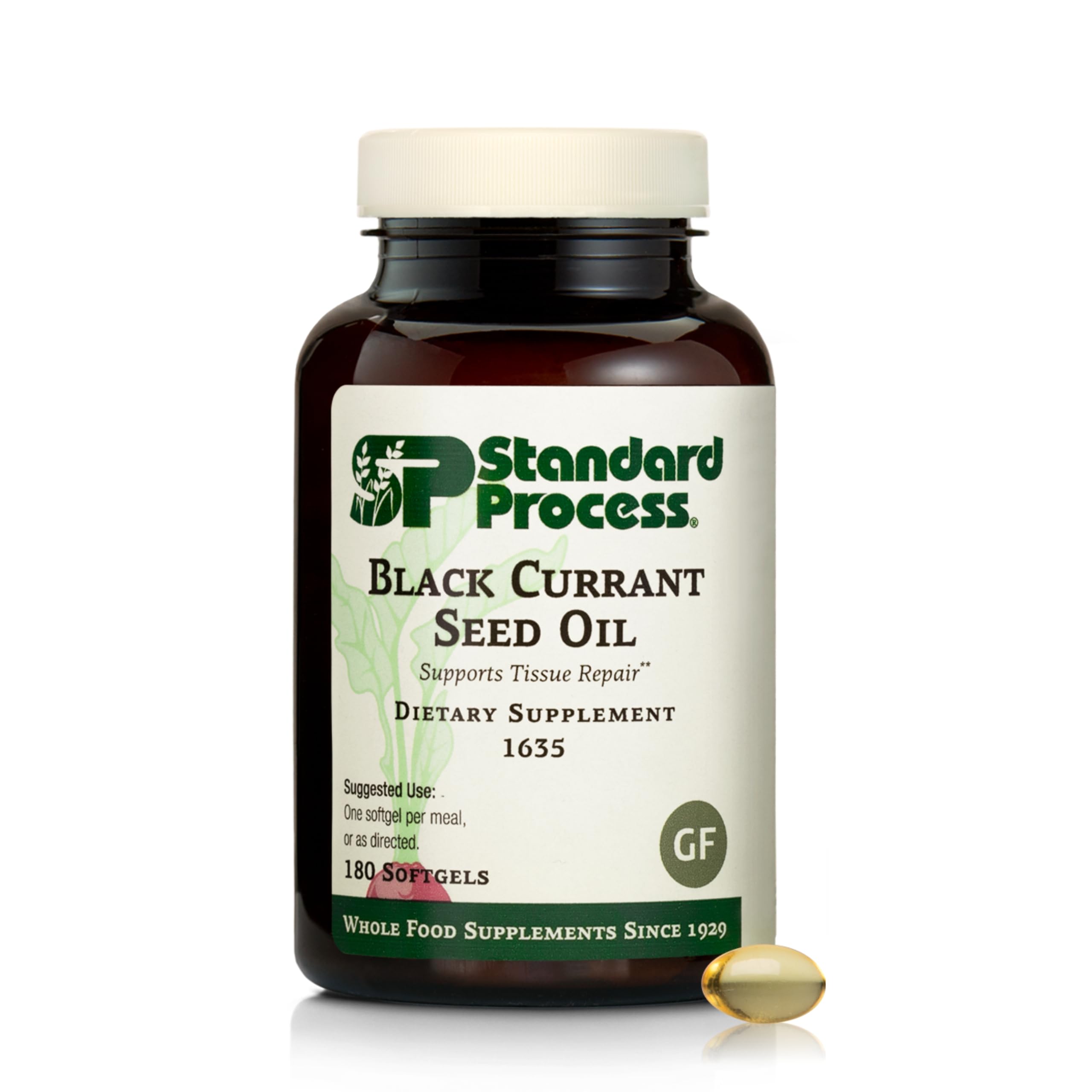 Standard Process Black Currant Seed Oil bottle for daily wellness support.