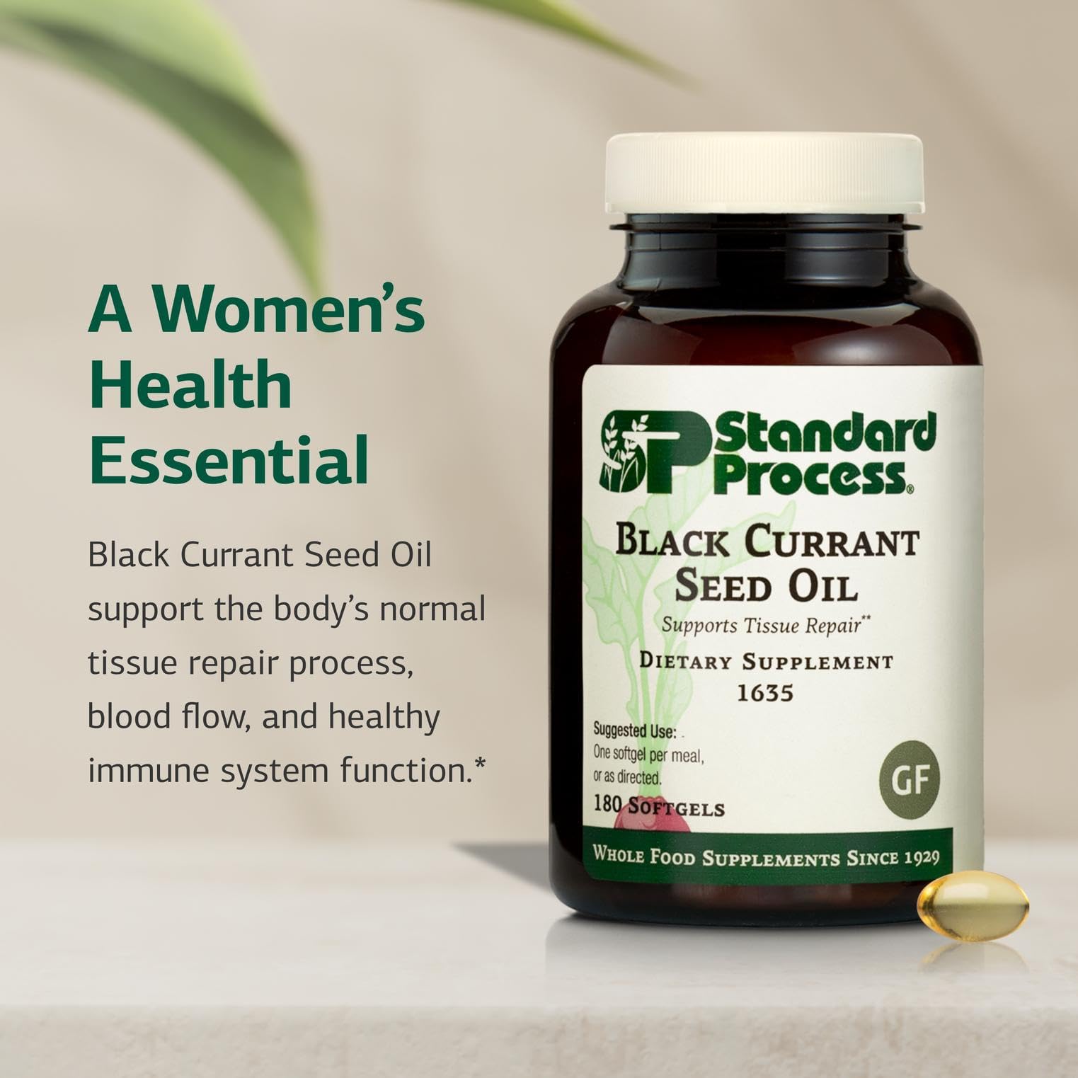 Standard Process Black Currant Seed Oil label close-up highlighting whole-food nutrition.