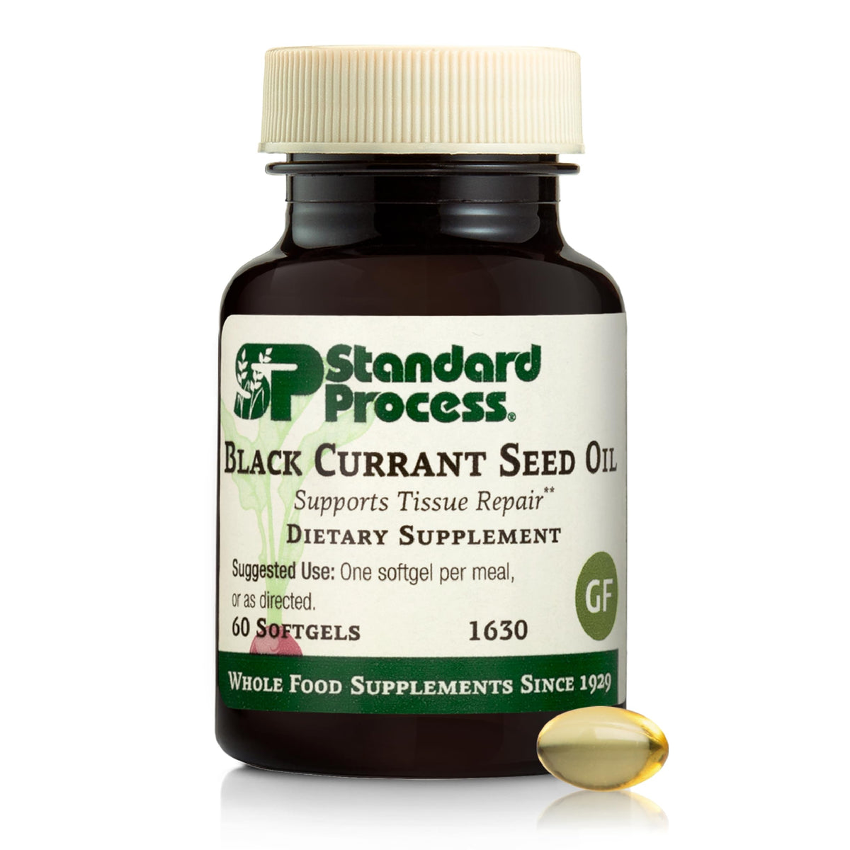 Standard Process Black Currant Seed Oil softgels close-up, daily tissue support.