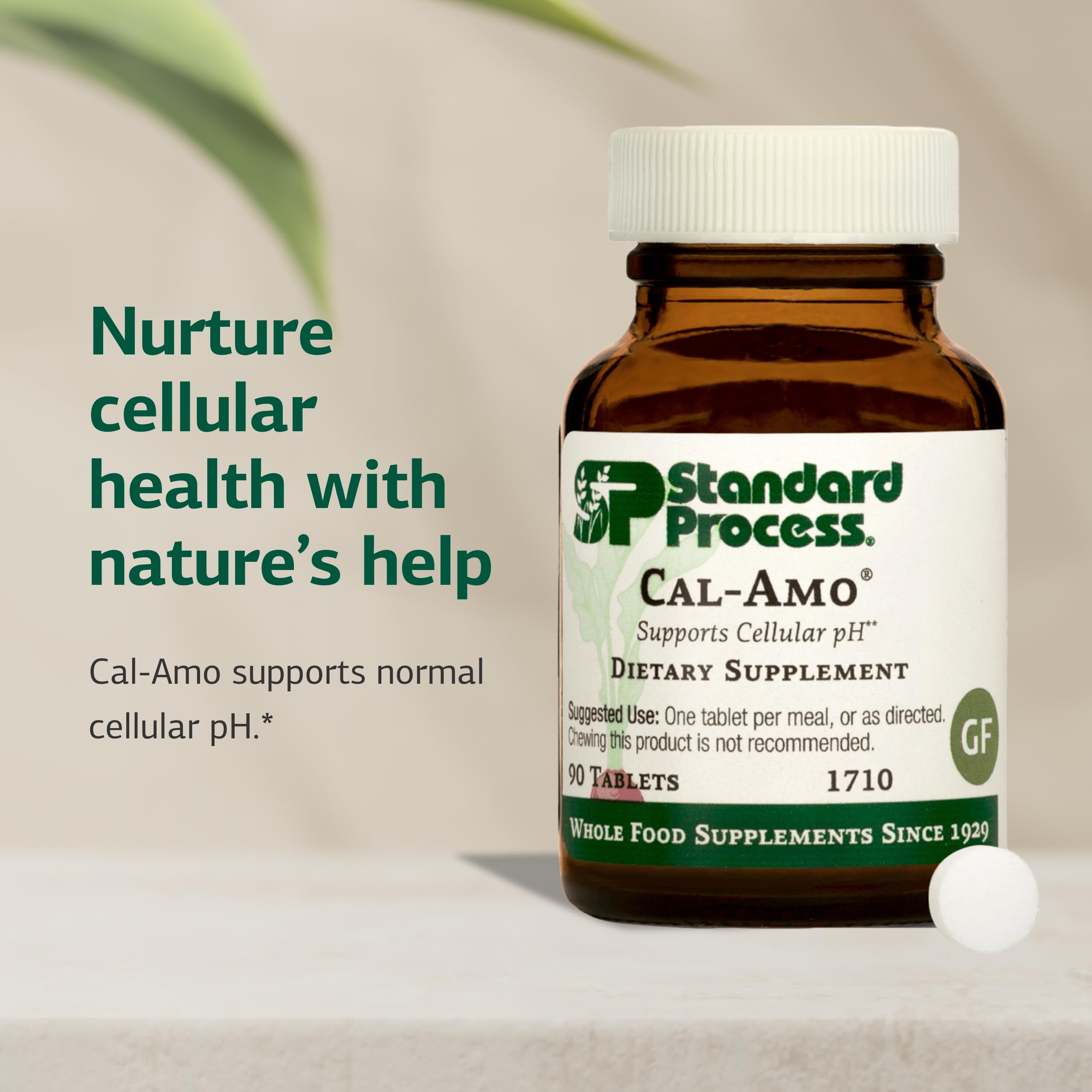 Front view of Standard Process Cal-Amo bottle emphasizing vegan gluten-free formula.