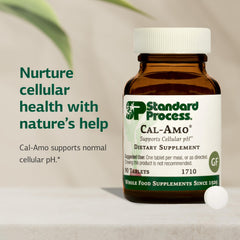 Front view of Standard Process Cal-Amo bottle emphasizing vegan gluten-free formula.
