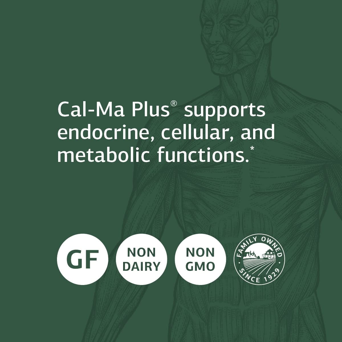 Standard Process Cal-Ma Plus label highlighting gluten-free, dairy-free, soy-free features.