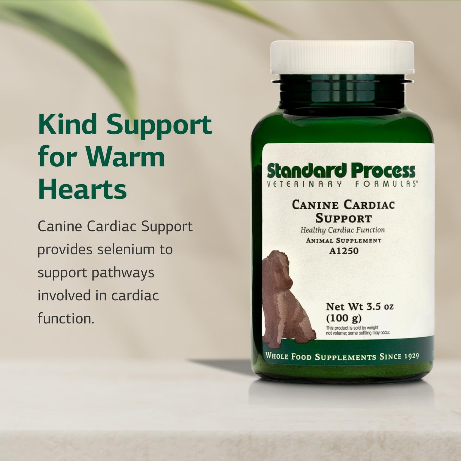 Large dosing scoop for Canine Cardiac Support for bigger dogs