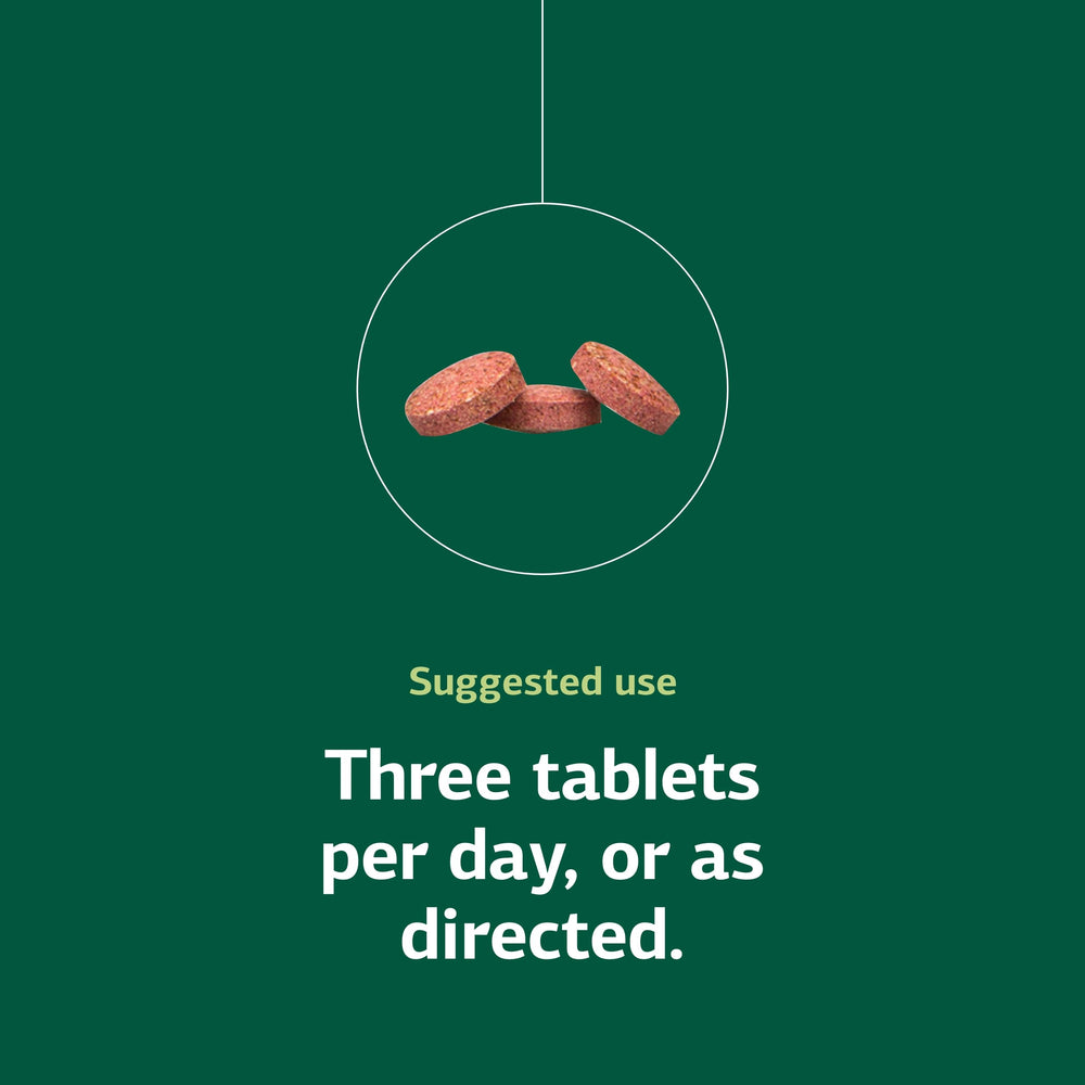 Standard Process Catalyn chewable tablet dissolving on tongue with pleasant texture.