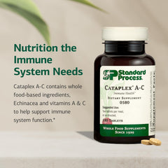 Close-up of Cataplex A-C tablets highlighting compact antioxidant nutrients.