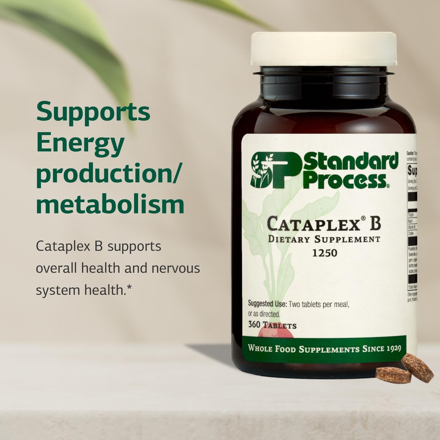 Cataplex B ingredients close-up emphasizing whole-food B-complex benefits.