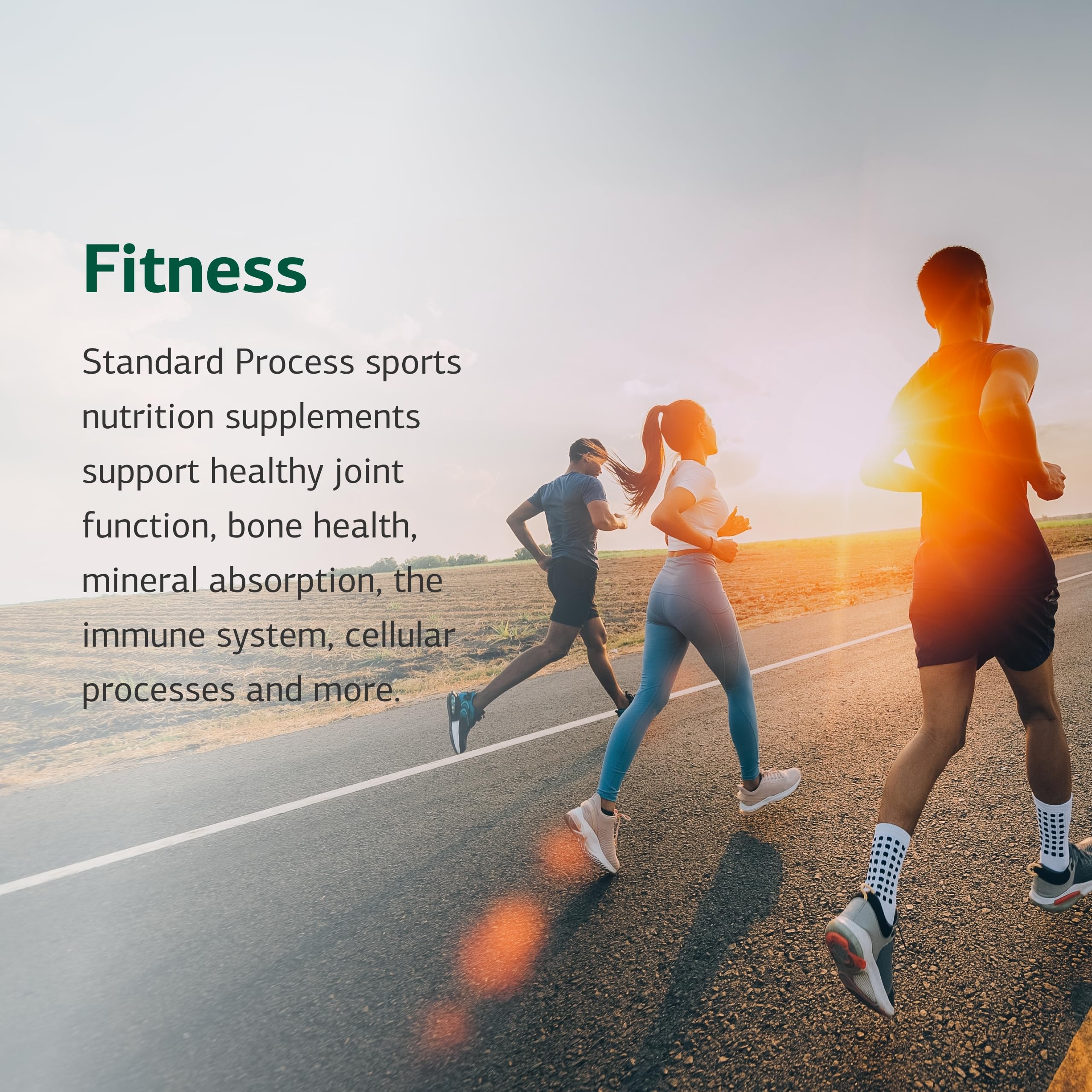 Cataplex E2 packaging presentation reflecting whole-food based design.