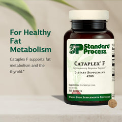 Standard Process Cataplex F bottle spill suggesting convenient on-the-go use.