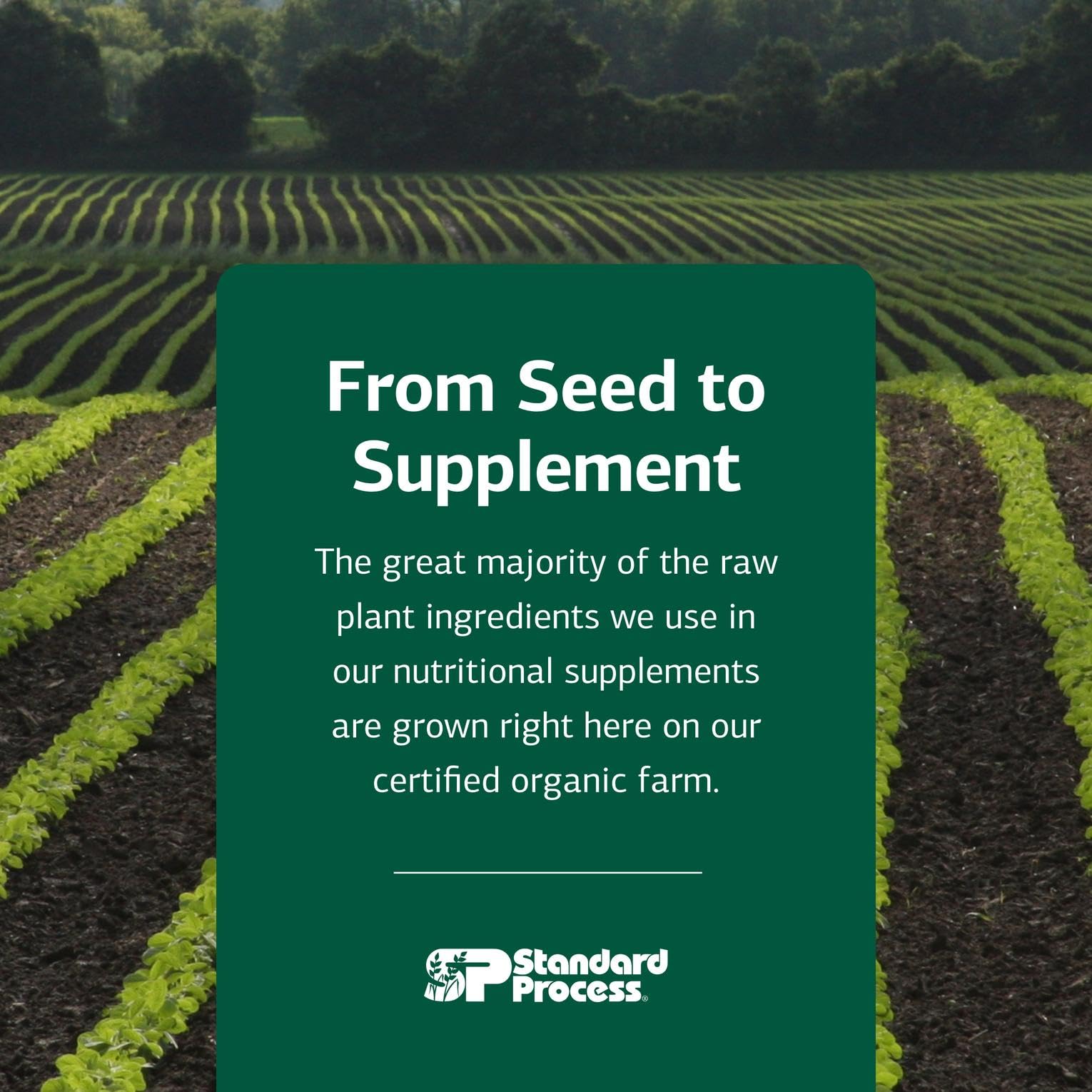 Standard Process Chlorophyll Complex packaging, gluten-free and dairy-free formula