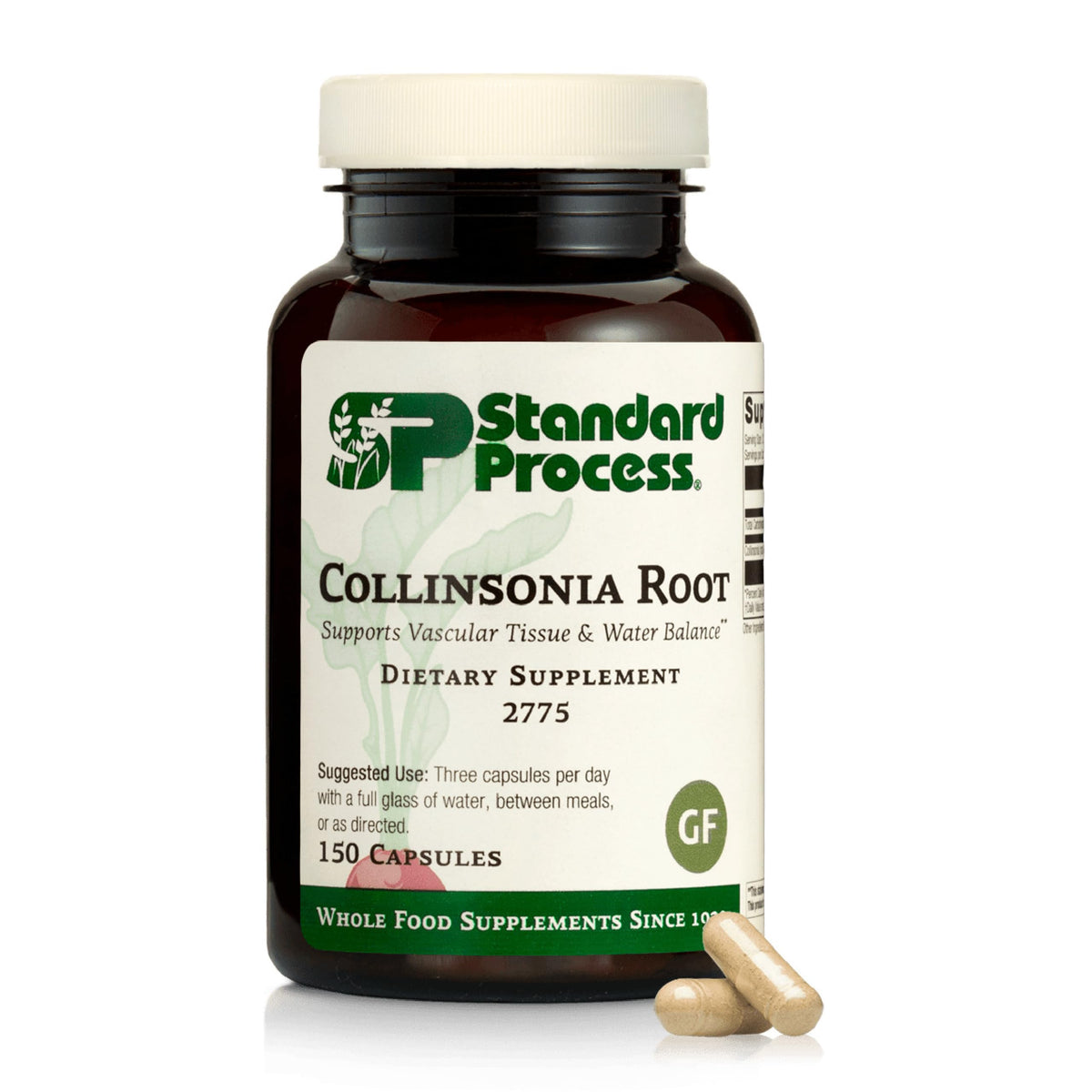 Standard Process Collinsonia Root bottle side view showing urinary health support potential