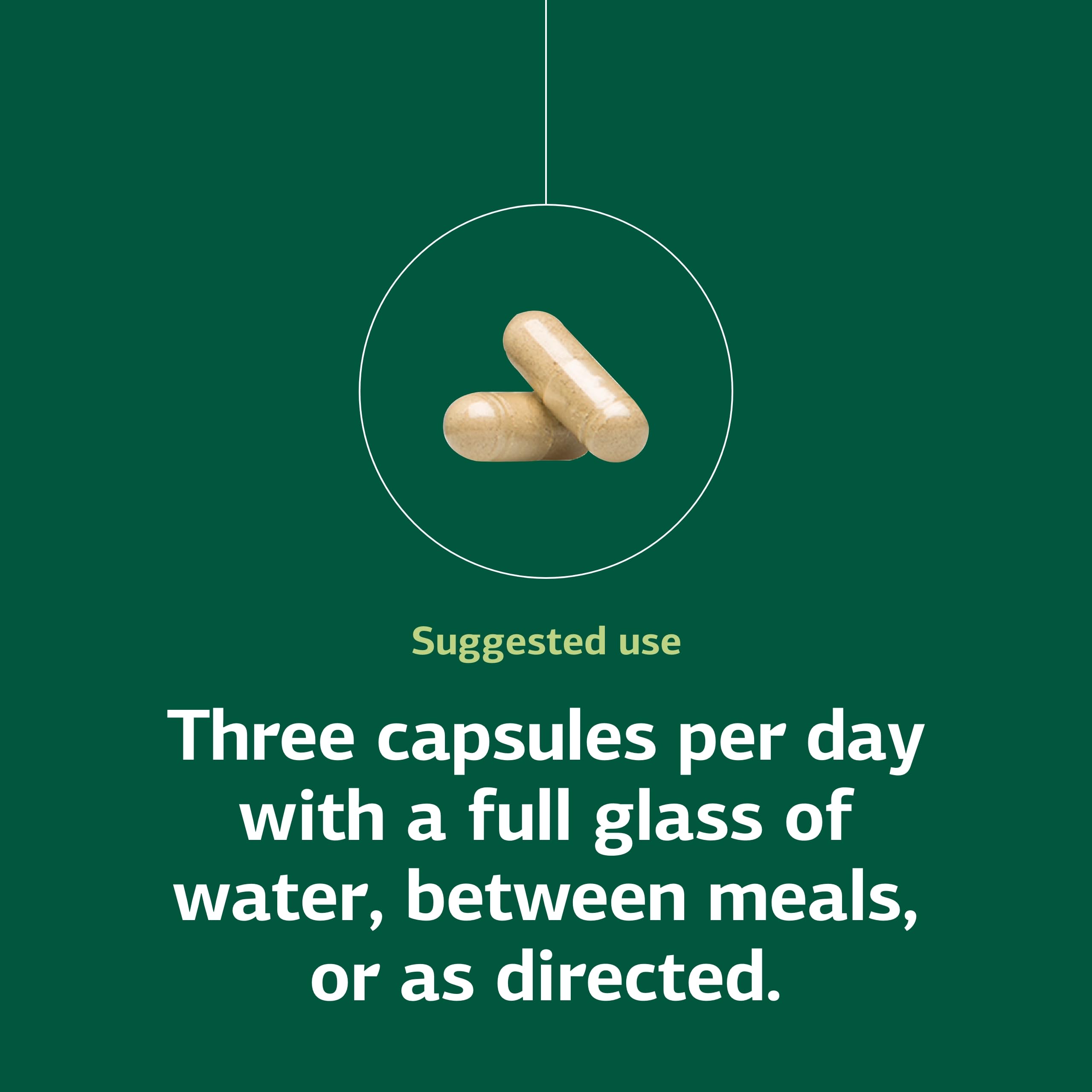 Standard Process Collinsonia Root dosage graphic displaying three capsules per day