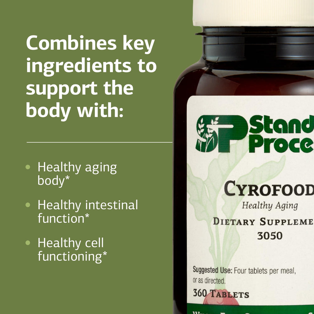 Reishi mushroom powder in Cyrofood adds earthy, wellness-forward elements.