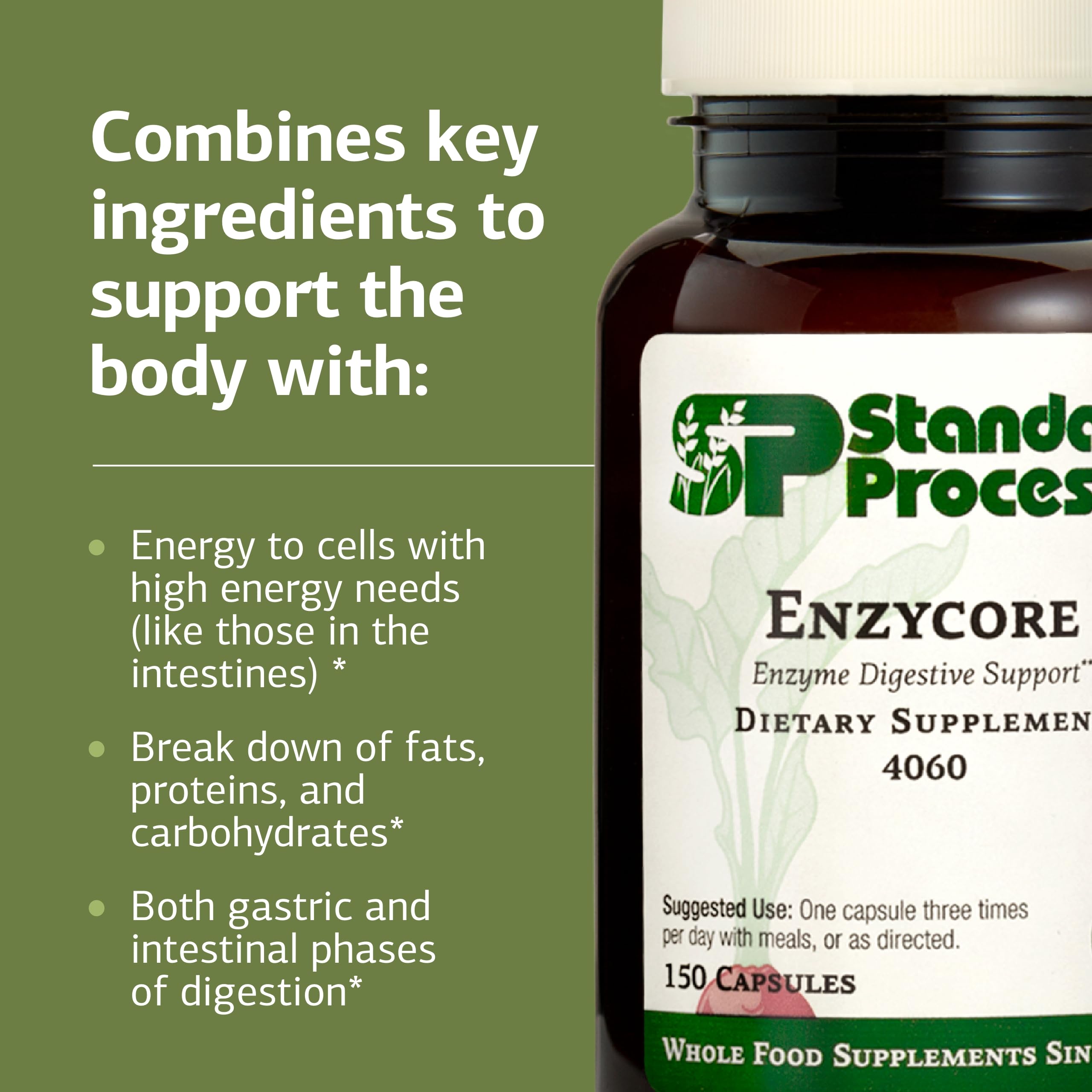 Standard Process Enzycore kale powder visible near bottle suggesting added digestive plant support.