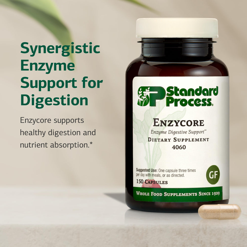 Standard Process Enzycore label on packaging signaling quality digestive wellness.