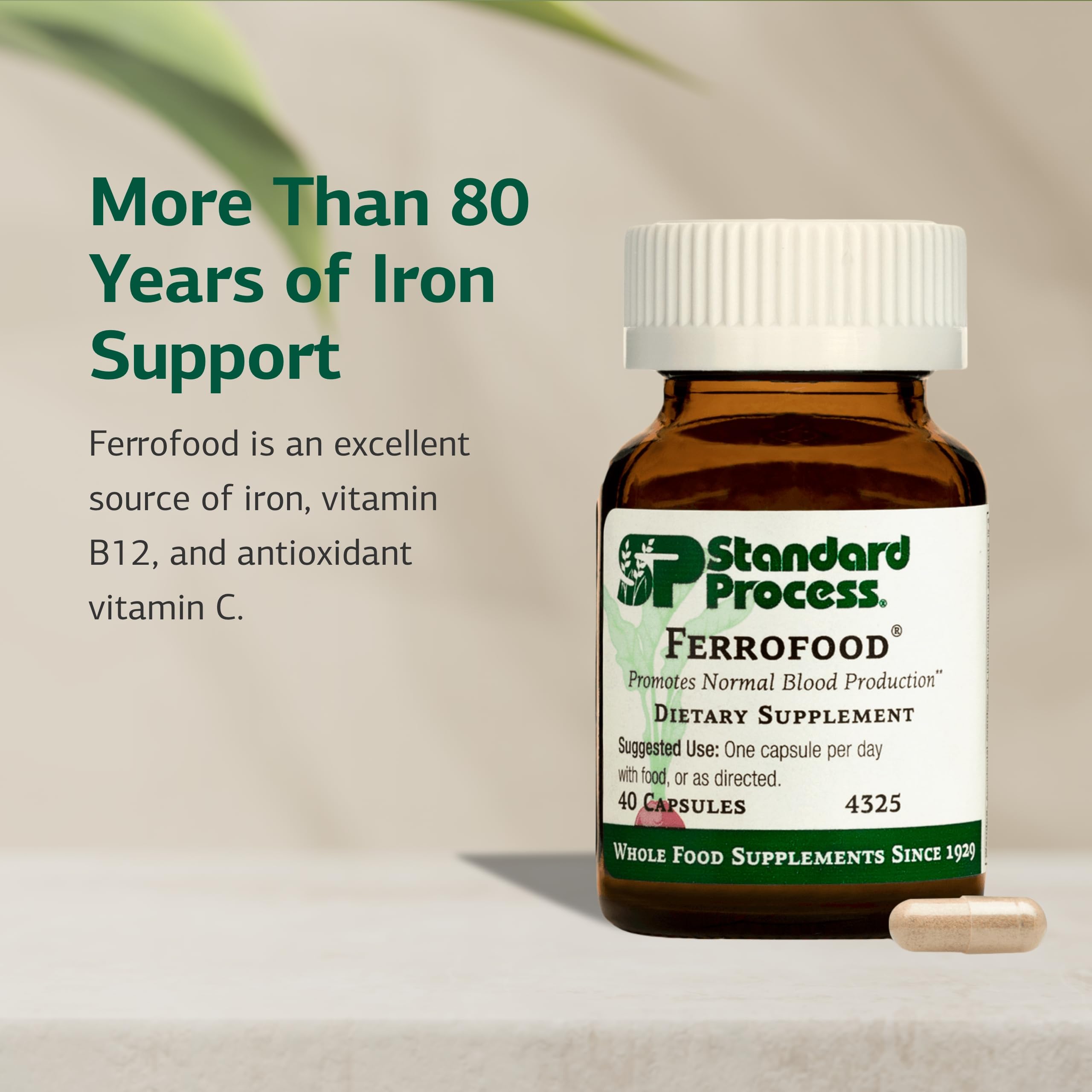 Ferrofood capsules ready for daily blood health support.