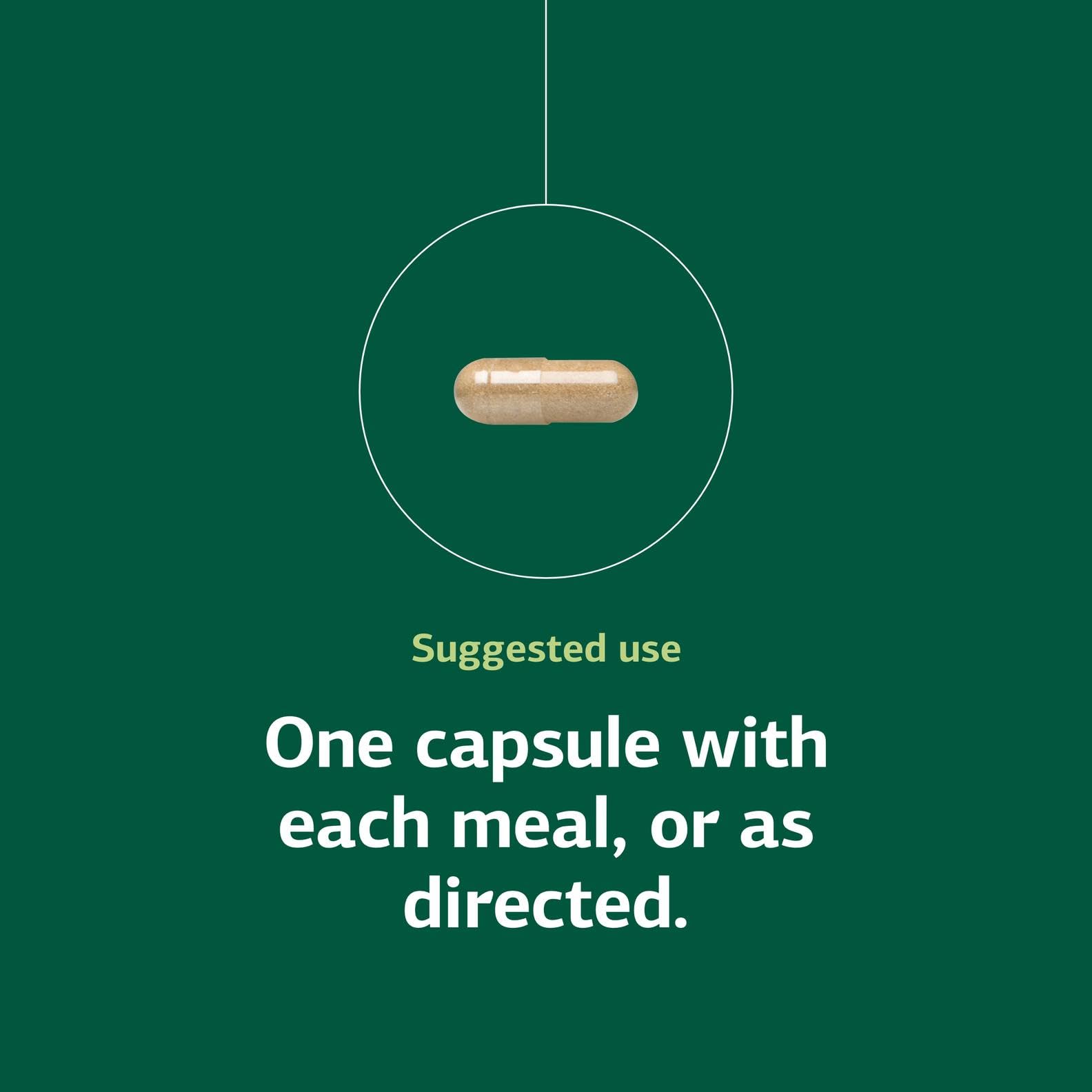 Standard Process For-Til B12 bottle with 90 capsules for daily use.