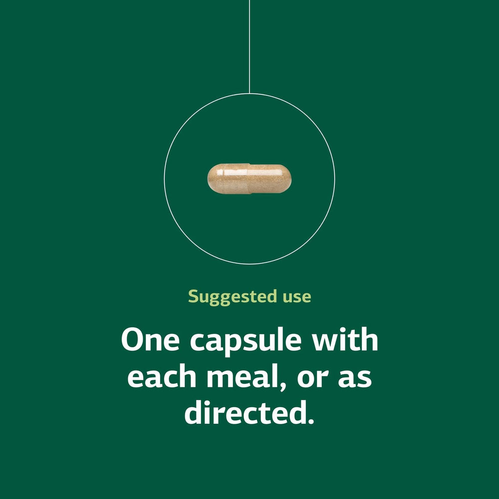 Standard Process For-Til B12 bottle with 90 capsules for daily use.